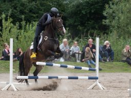 DSC_1771_web